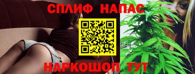 дмт Славгород