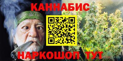 дмт Славгород