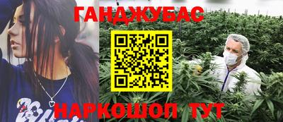 дмт Славгород