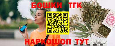 дмт Славгород